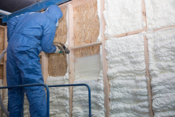 Best Garage Insulation  in Rio Rancho, NM